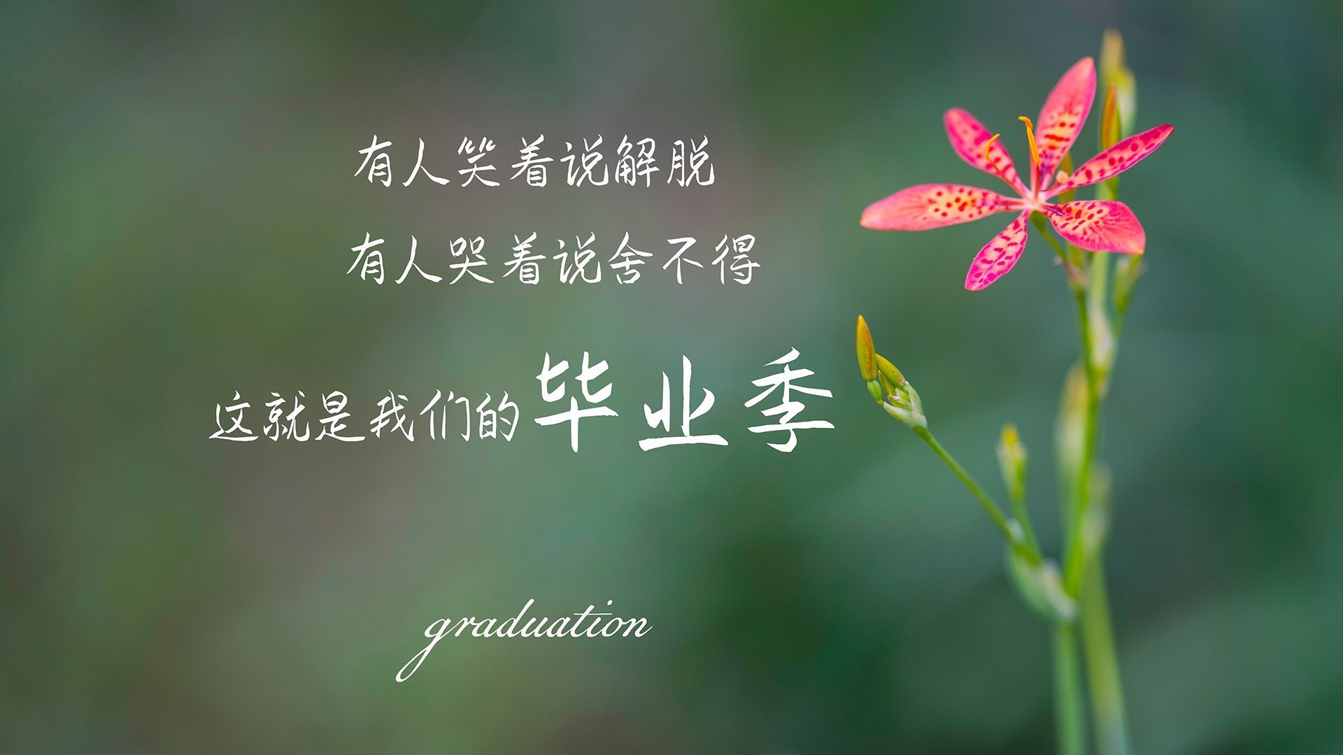 CBA是否缺乏真正意义上的球队文化传承，cba文化水平