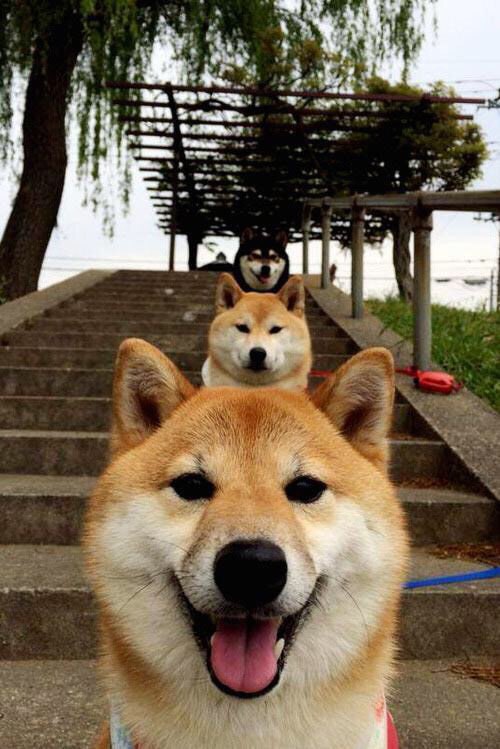 中前场控球点重叠是否导致节奏冲突问题,控球前锋打法