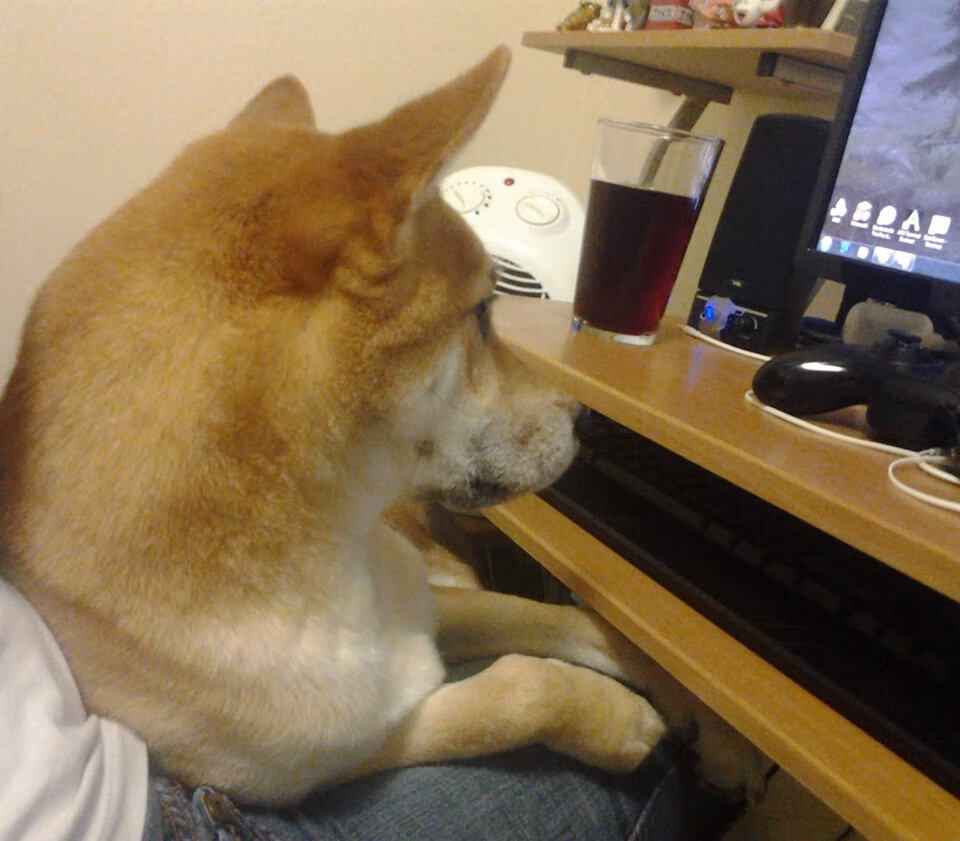 中国冰球青年队赴海外拉练提升实战经验，中国冰球首次通过选拔营