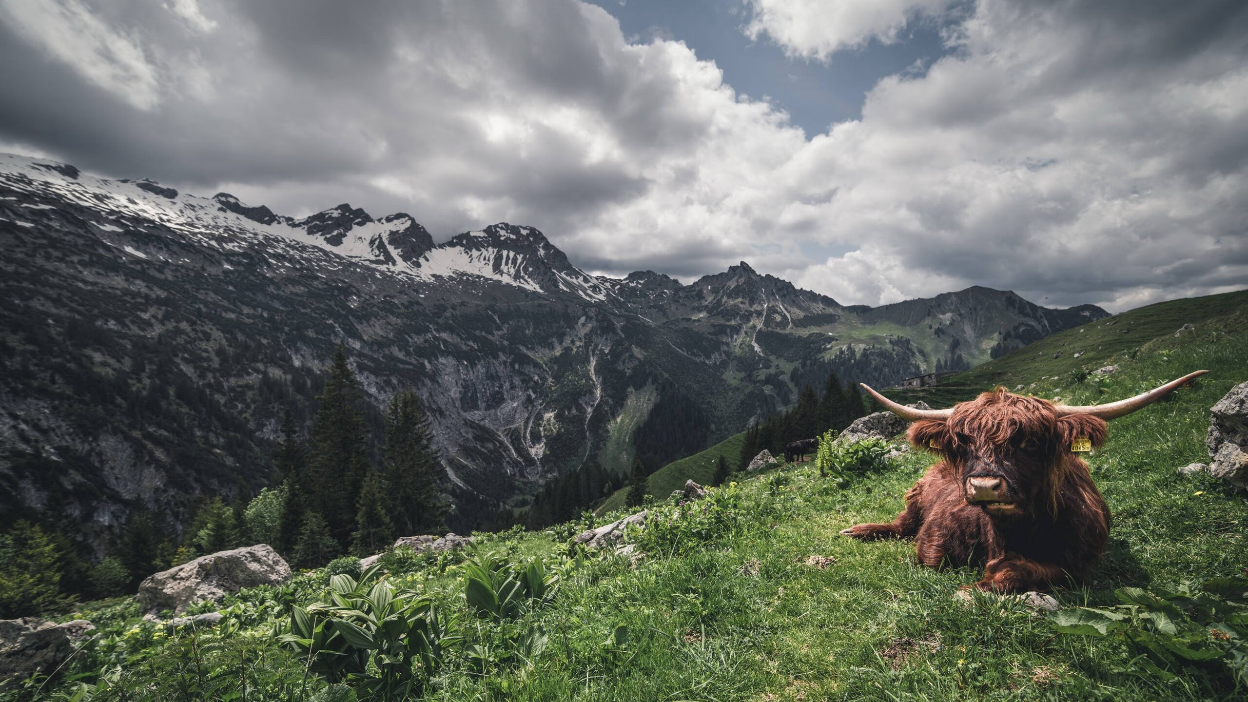 mk体育平台登录入口-五大联赛是否借助边路深度拉伸创造中路空位，五大联赛中场球员