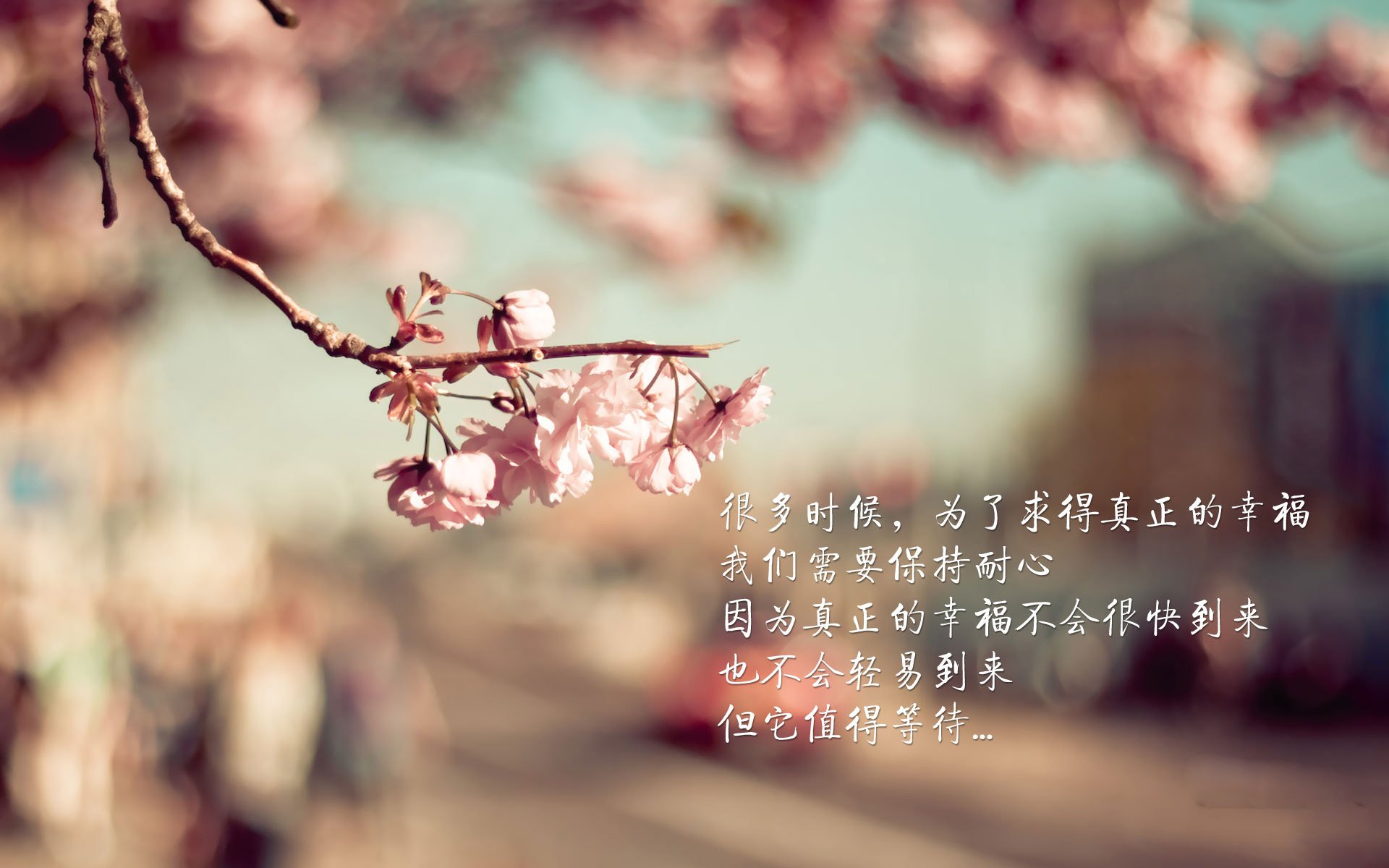 亚冠焦点战役点燃多地球迷热情