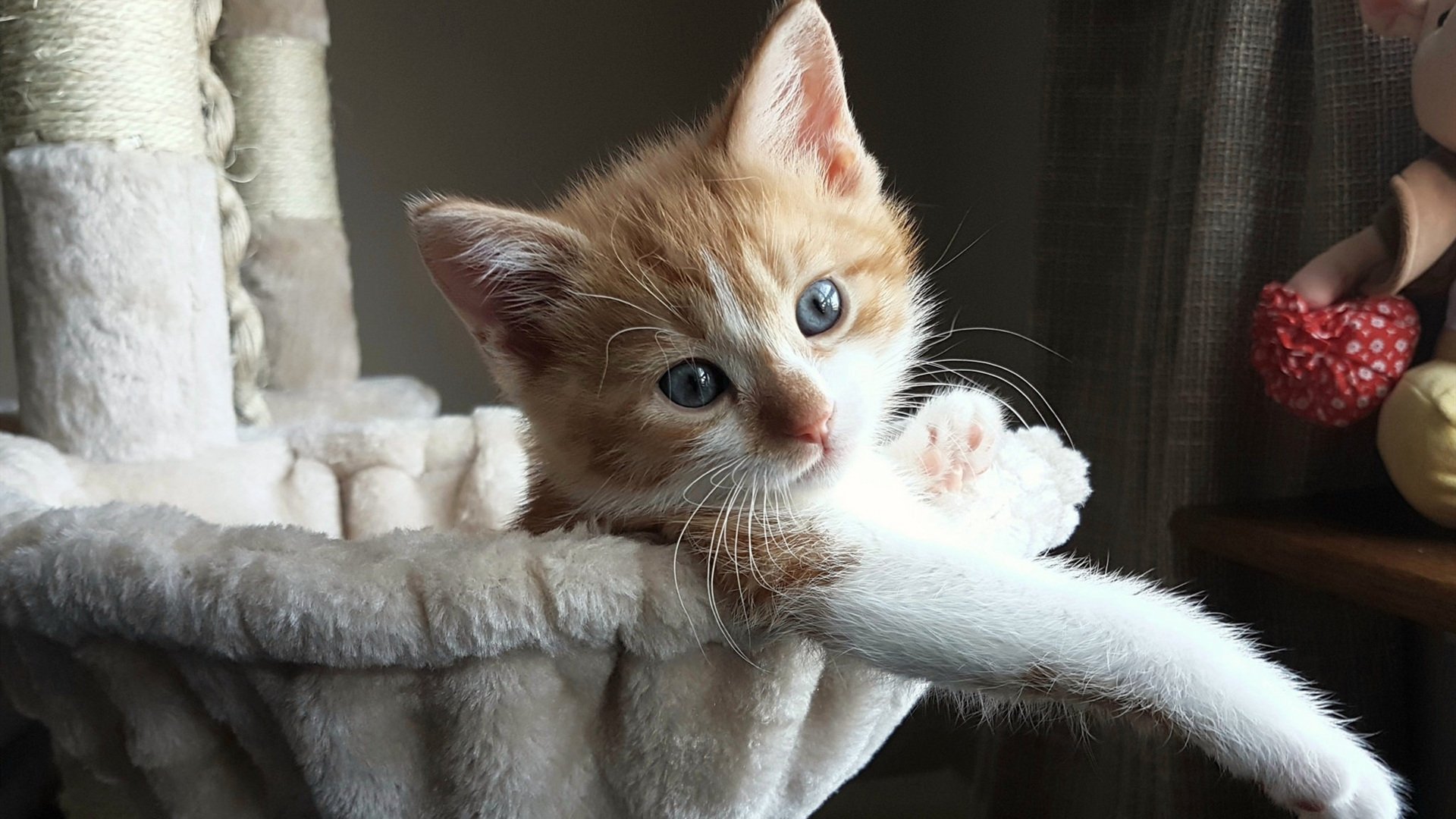 切尔西门将数次关键扑救保卫胜果,切尔西门将是谁