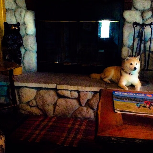 mk体育平台网页版入口-国家队对抗强队时为何失节奏，国家队内部对抗赛