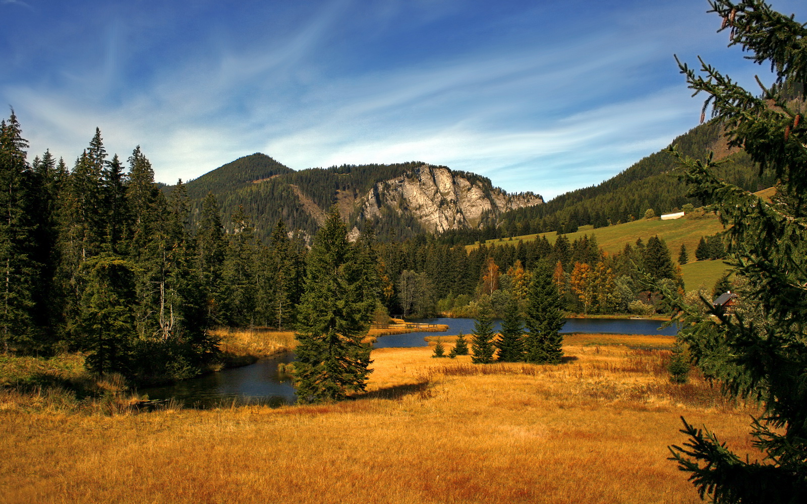 mk体育官网入口-澳大利亚团队赛制调整：如何在团体赛事中整合技术与策略，atp澳大利亚