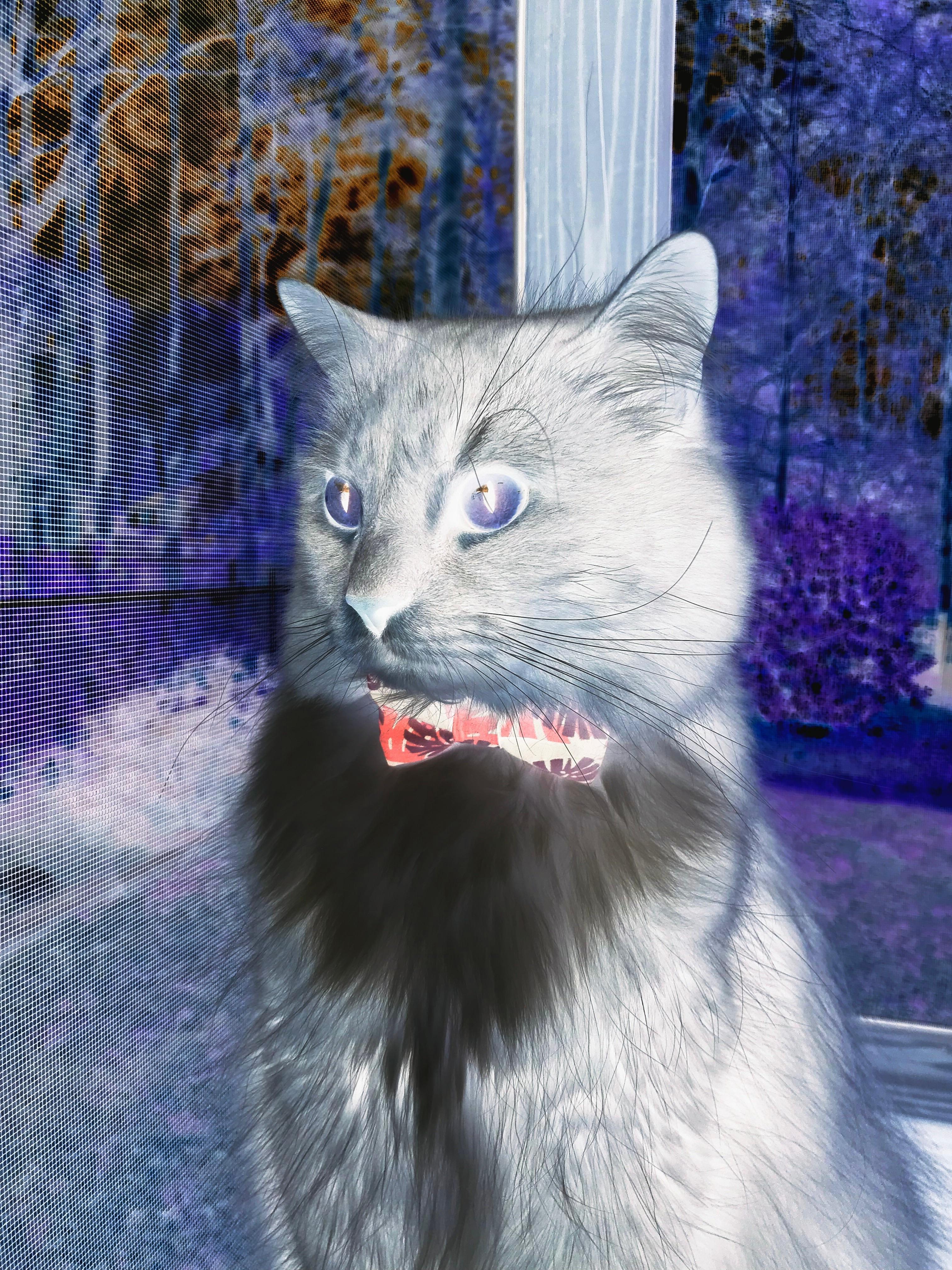 mk体育官方网站-足球教练团队引入外脑优化战术部署，足球外聘教练