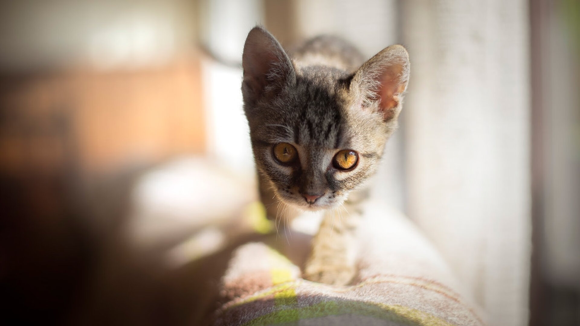 mk体育-76人推出官方训练纪录展示球员真实训练状态，76人阵