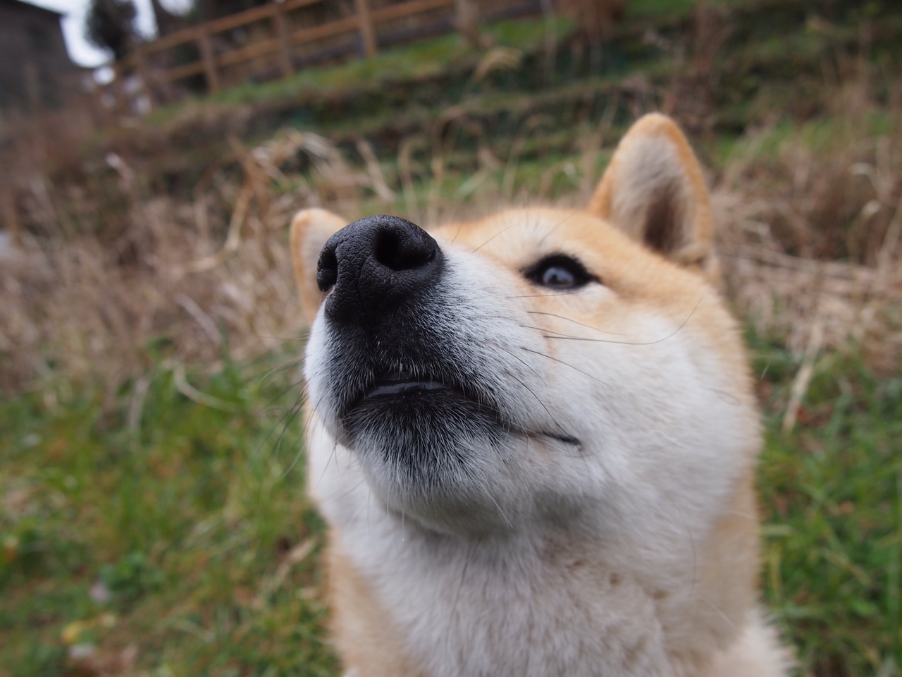后防多次关键解围化解险情稳定军心展现老将价值,后防的意思