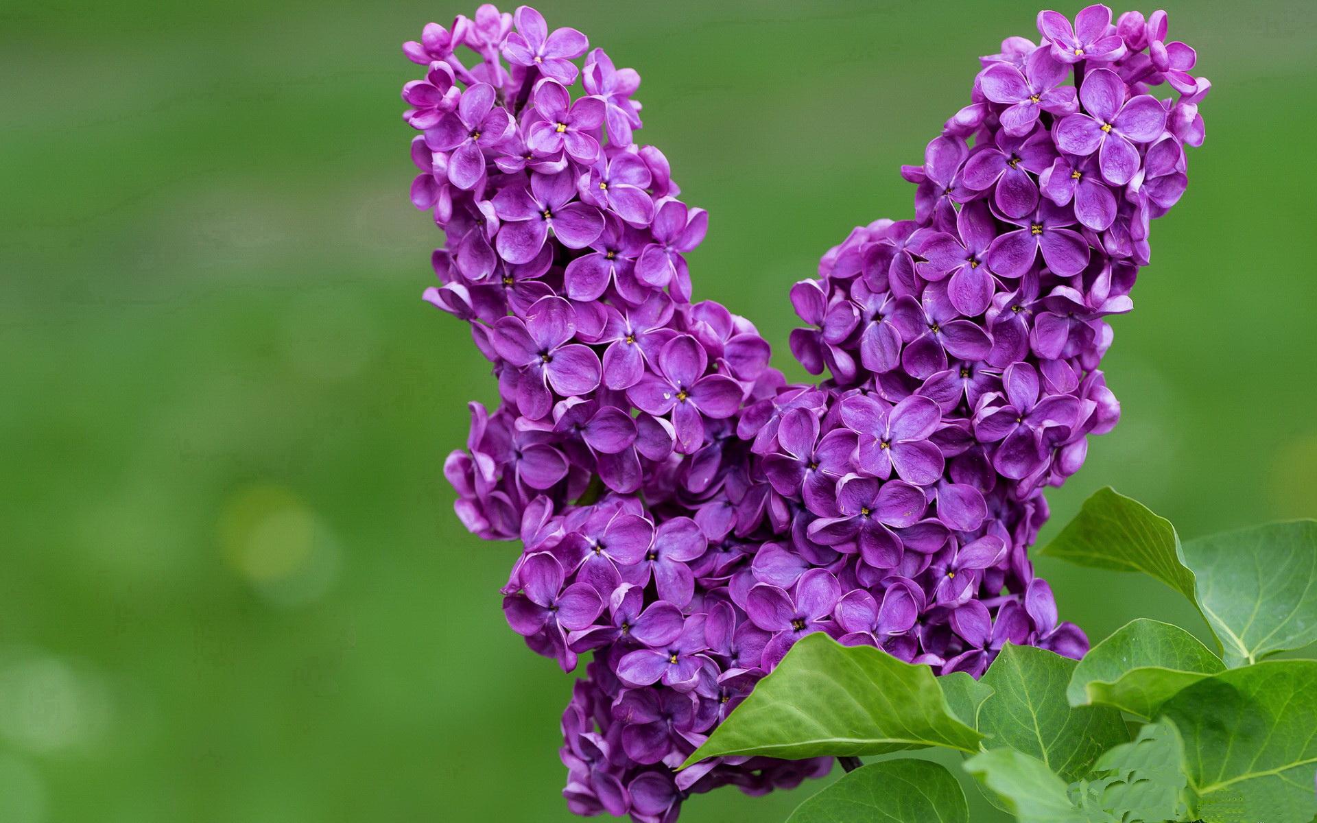 德甲战术大揭秘：变化莫测，场面精彩！，德甲最新战报