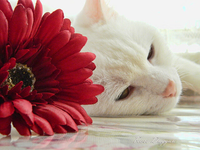 Turner 防守策略帮助球队逆转局势，球员turner