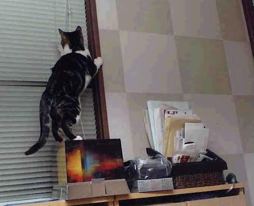 mk体育平台登录入口-一文看懂｜清华丘成桐数学计划2026招生条件+流程，2021清华丘成桐数学英才班冲刺营